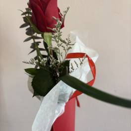 Single Stem Rose