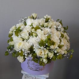 Amar's Field Of White
