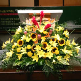 PODIUM ARRANGEMENT 108 [TTPOD108]