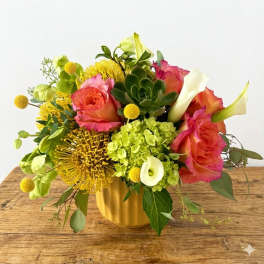 Juicy Spring