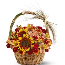 Harvest Basket [TFWEB237]