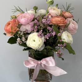 Pastel Ranunculus