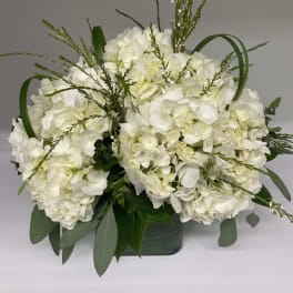 Whites