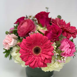 Pink Delight