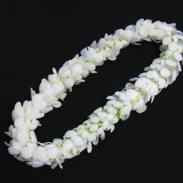 White flower lei on a black background