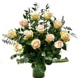 Soft Pink Rose