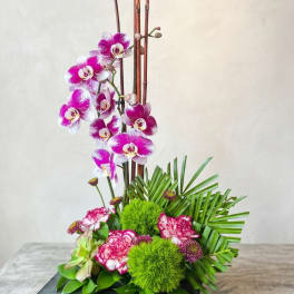 Zen Artistry