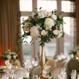 Golden Hydrangeas