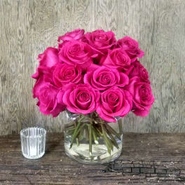 Two dozen Hot Pink Roses