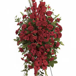 Ruby Radiance Tribute Spray