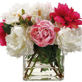 Peonies