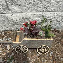 Wagon of Love