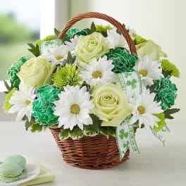 Basket of pale green roses and white daisies with green carnations