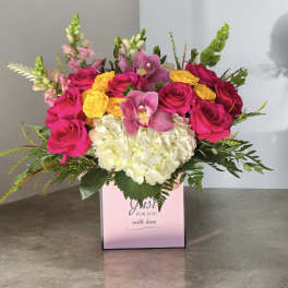 Pink Queen 7230