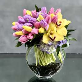 Fanciful Spring Tulips