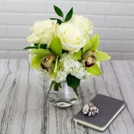 Dainty Duet - David Z Designs