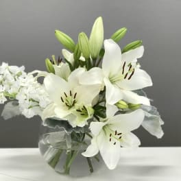 La Dame Blanche