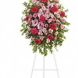 Pink Tribute Spray