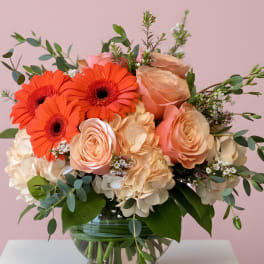 Round glass vase of orange gerbera daisies, peach roses, and cream hydrangeas on a pink background