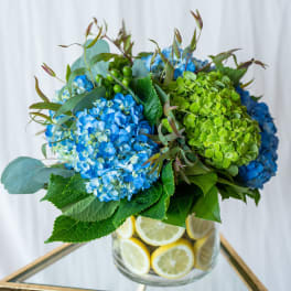 Blue and green hydrangea bouquet in a glass vase with lemon slices