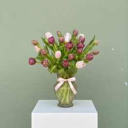 LF311 To My Tulip