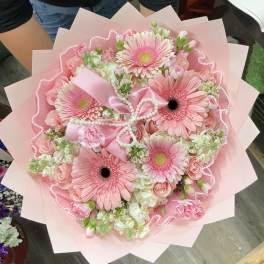 Pink Daisy