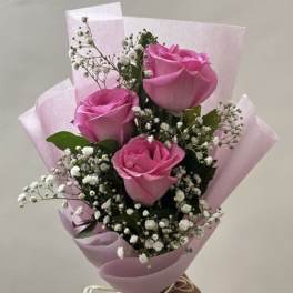Pink Coquet