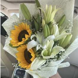 Sunlily 