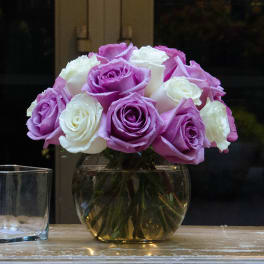 white and purple roses