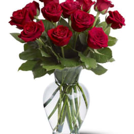12 Red Roses