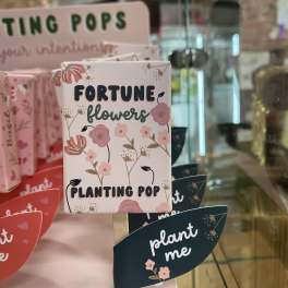 Decorative plant gift boxes with floral prints and "fortune flowers" text