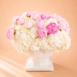 Peony Cloud