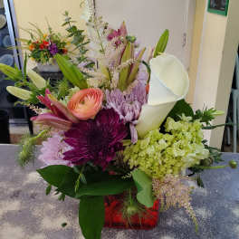 Garden Blooms
