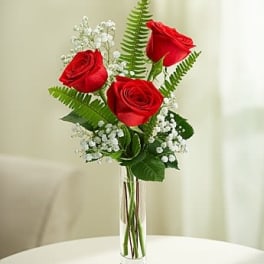 Love's Embrace Roses - THREE RED