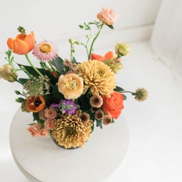 Bright & Earthy Petite Designer's Choice