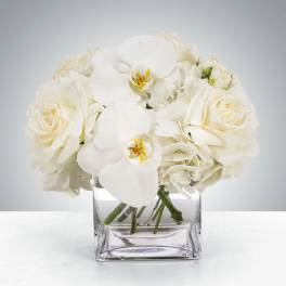 Linen by BloomNation™
