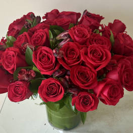 36 Roses Red Compact