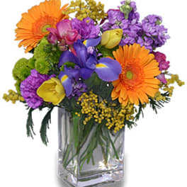 Compact Floral Blooms