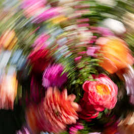 Abstract swirl of brightly colored flowers in pink, orange, and other hues.
