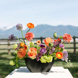 Low black bowl of orange, purple, and green mixed flowers arranged outdoors with mountains in the background.