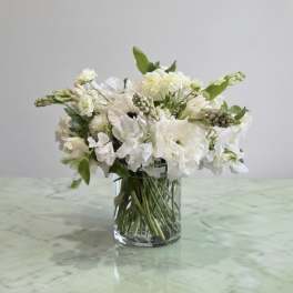 Beautiful White