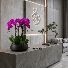 Purple Phalaenopsis Orchids – Same Day Orchid Arrangements