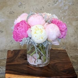 Seashells Peonies