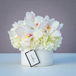 Simply White