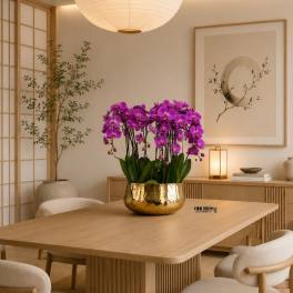 Purple Orchids Phalaenopsis – Same Day Flowers Delivery