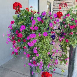 Cascading Out door planter