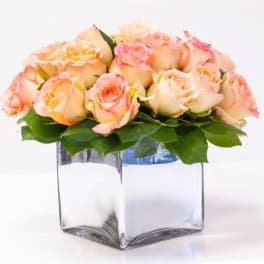 Peach Roses Squared