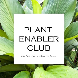White sign over a background of large green plant leaves