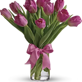 Precious Pink Tulips