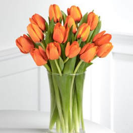 Orange tulips in a clear glass vase